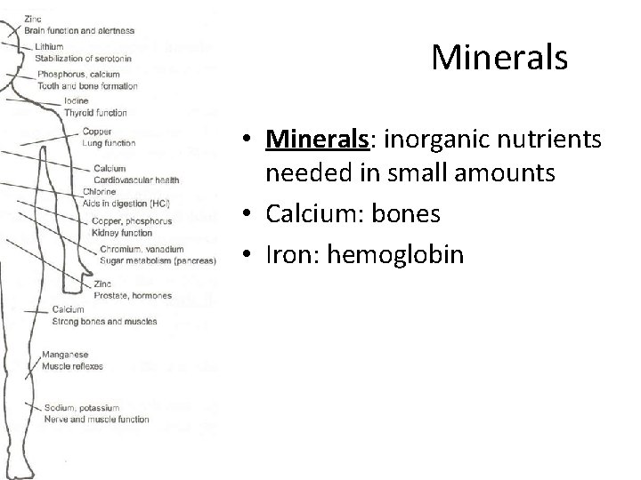 Minerals • Minerals: inorganic nutrients needed in small amounts • Calcium: bones • Iron: