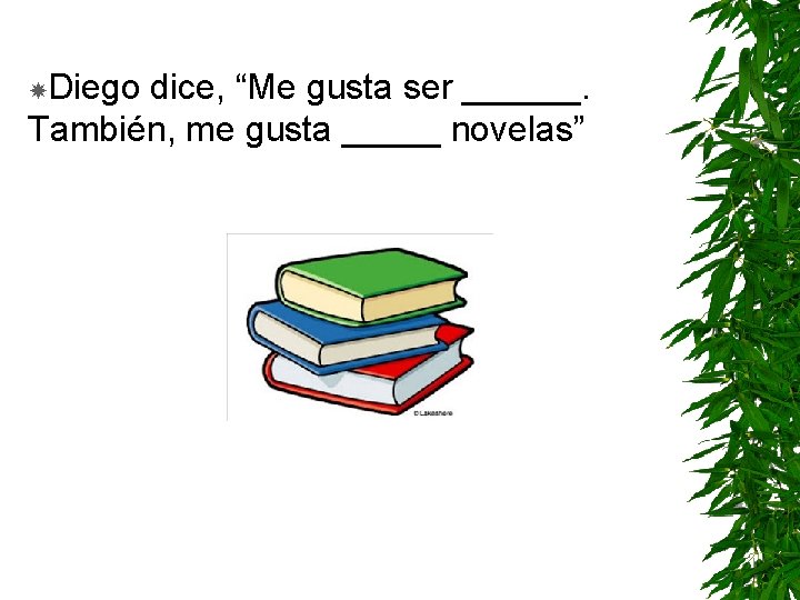  Diego dice, “Me gusta ser ______. También, me gusta _____ novelas” 