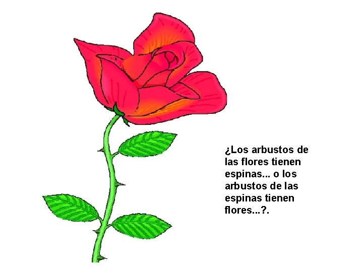 ¿Los arbustos de las flores tienen espinas. . . o los arbustos de las