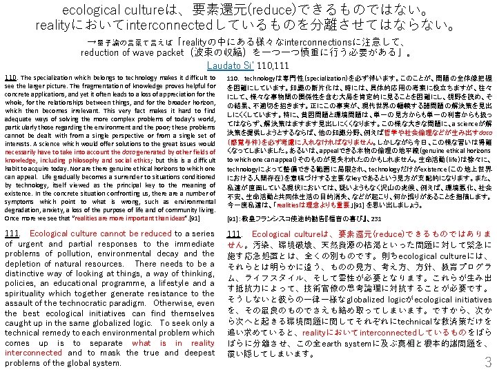 ecological cultureは、要素還元(reduce)できるものではない。 realityにおいてinterconnectedしているものを分離させてはならない。 →量子論の言葉で言えば「realityの中にある様々なinterconnectionsに注意して、 reduction of wave packet（波束の収縮）を一つ一つ慎重に行う必要がある」。 Laudato Si’ 110, 111 110. The