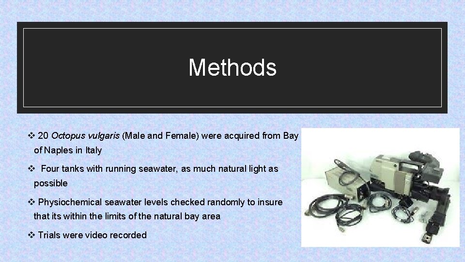 Methods v 20 Octopus vulgaris (Male and Female) were acquired from Bay of Naples
