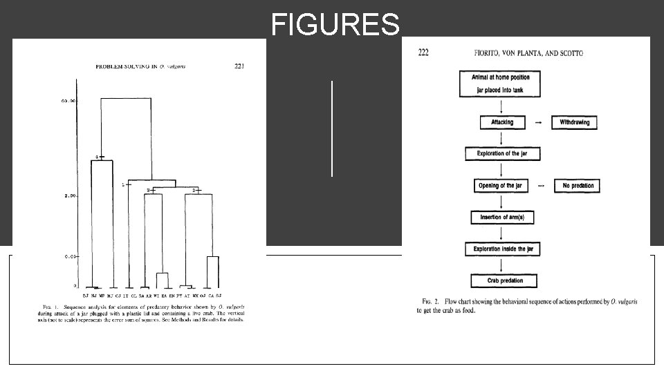 FIGURES 