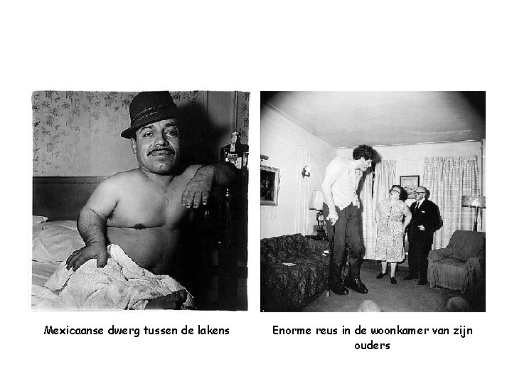 Mexicaanse dwerg tussen de lakens Enorme reus in de woonkamer van zijn ouders 