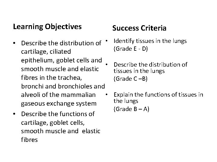 Learning Objectives Success Criteria • Describe the distribution of • cartilage, ciliated epithelium, goblet