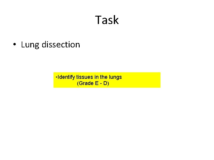 Task • Lung dissection • Identify tissues in the lungs (Grade E - D)