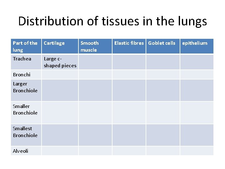 Distribution of tissues in the lungs Part of the lung Cartilage Trachea Large cshaped