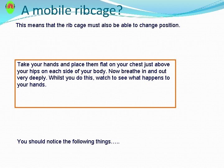 A mobile ribcage? This means that the rib cage must also be able to
