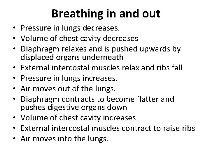 Breathing in and out • Pressure in lungs decreases. • Volume of chest cavity
