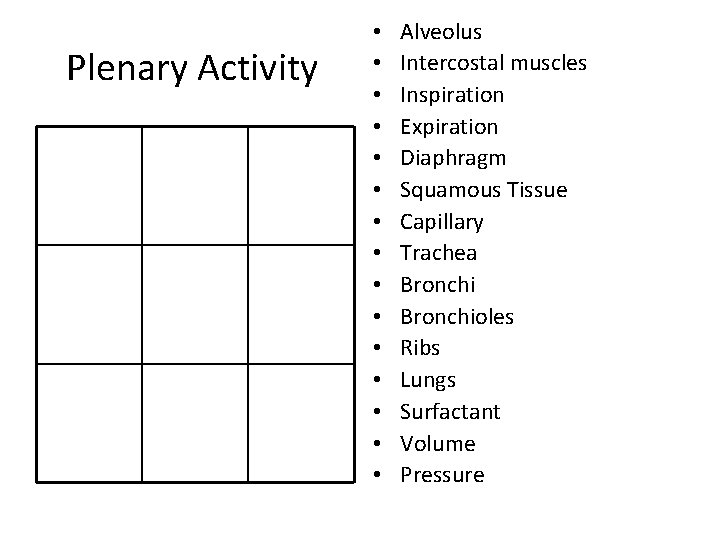 Plenary Activity • • • • Alveolus Intercostal muscles Inspiration Expiration Diaphragm Squamous Tissue
