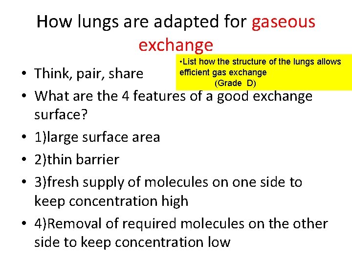 How lungs are adapted for gaseous exchange • List how the structure of the
