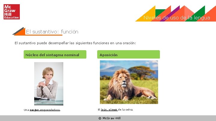 Niveles de uso de la lengua El sustantivo: función El sustantivo puede desempeñar las