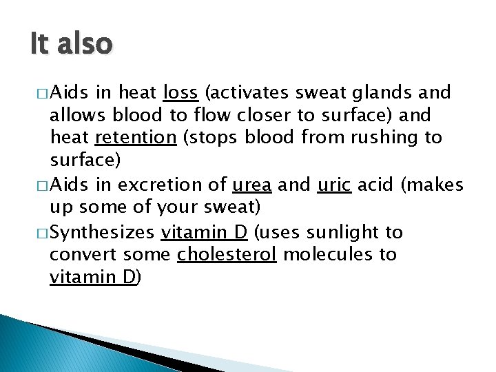 It also � Aids in heat loss (activates sweat glands and allows blood to