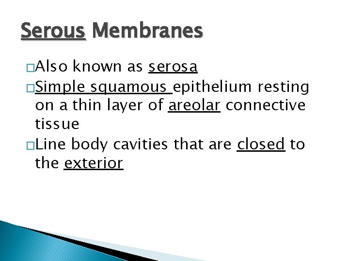 Serous Membranes �Also known as serosa �Simple squamous epithelium resting on a thin layer