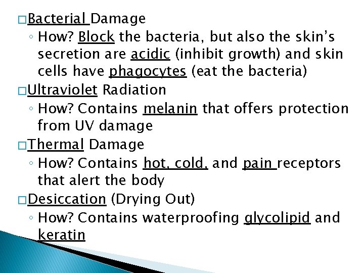 � Bacterial Damage ◦ How? Block the bacteria, but also the skin’s secretion are