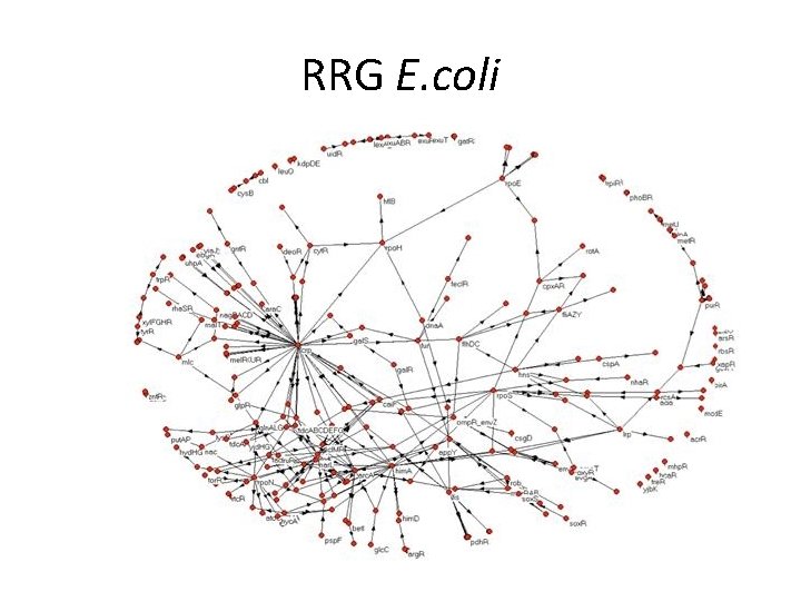 RRG E. coli 