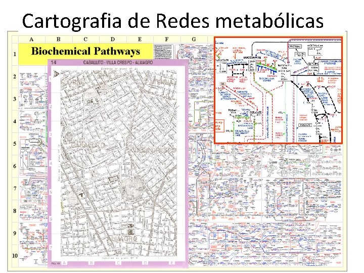 Cartografia de Redes metabólicas 