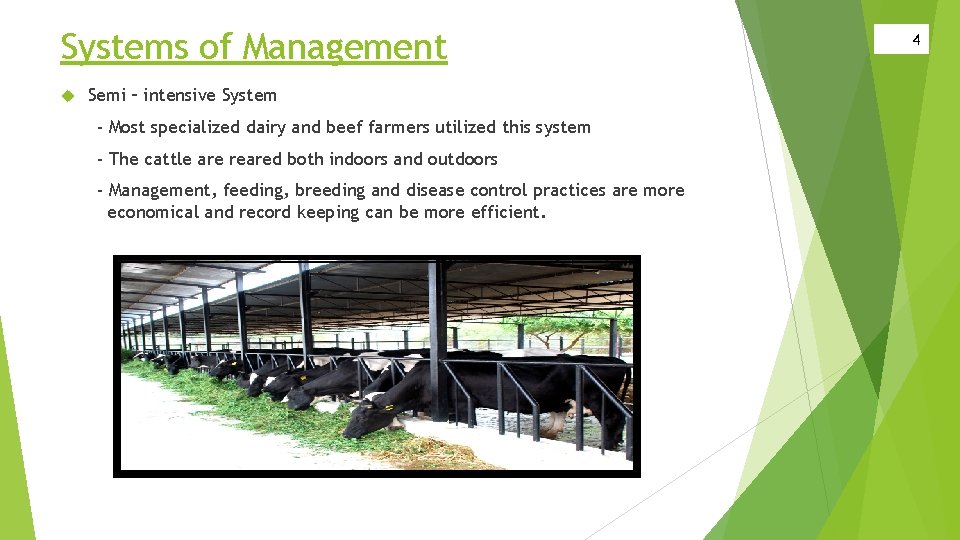 Systems of Management Semi – intensive System - Most specialized dairy and beef farmers