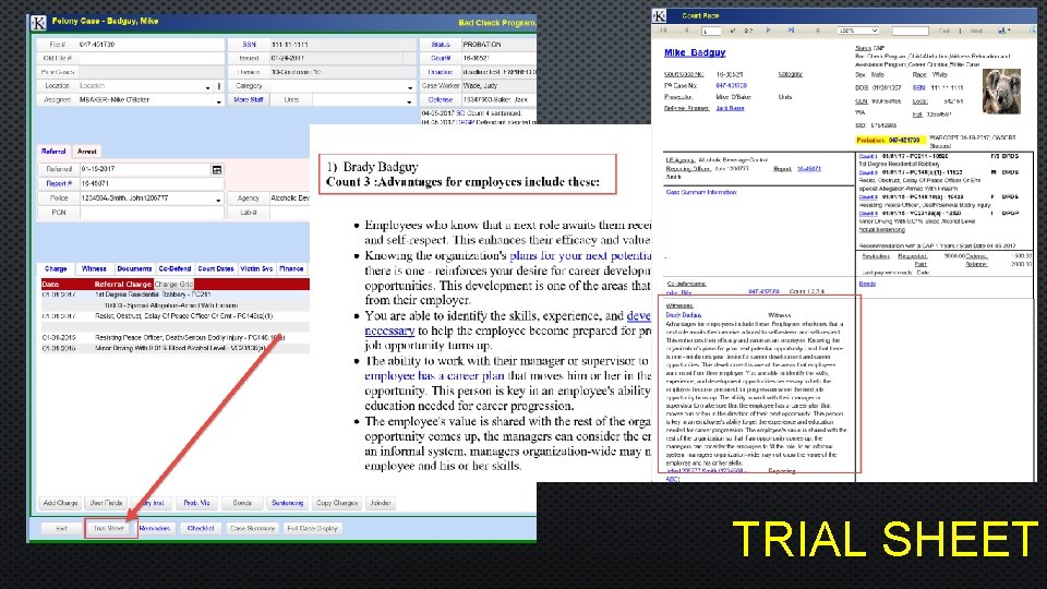 TRIAL SHEET 