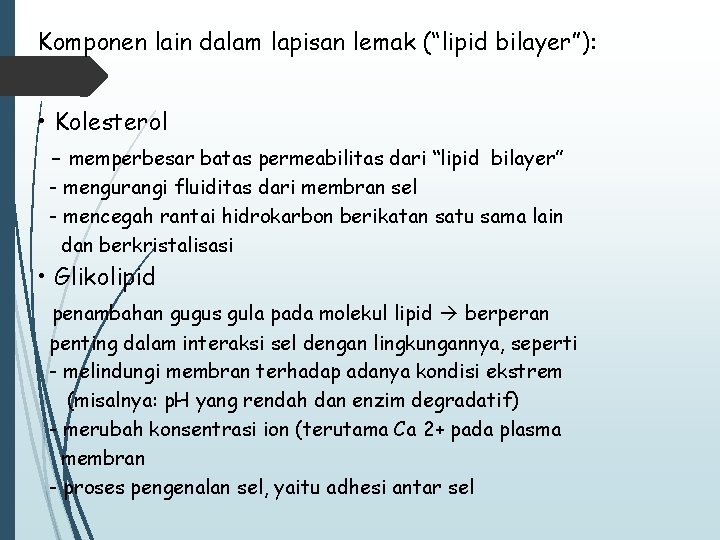 Komponen lain dalam lapisan lemak (“lipid bilayer”): • Kolesterol - memperbesar batas permeabilitas dari