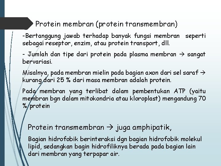 Protein membran (protein transmembran) -Bertanggung jawab terhadap banyak fungsi membran seperti sebagai reseptor, enzim,