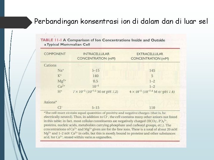 Perbandingan konsentrasi ion di dalam dan di luar sel 