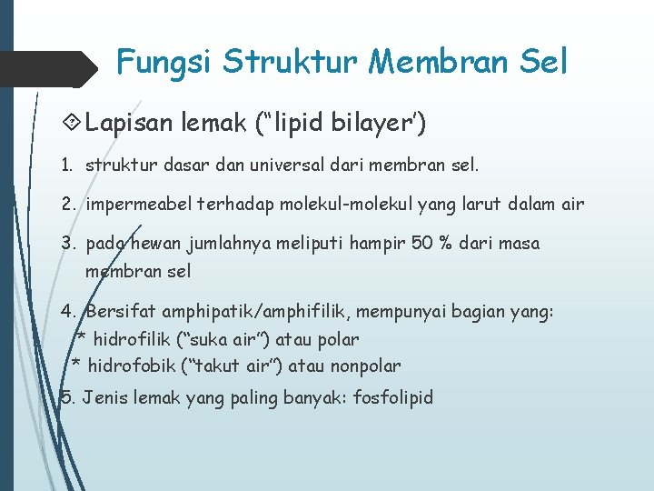 Fungsi Struktur Membran Sel Lapisan lemak (“lipid bilayer’) 1. struktur dasar dan universal dari