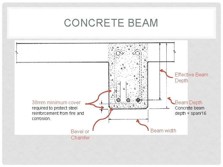 CONCRETE BEAM Effective Beam Depth 38 mm minimum cover Beam Depth required to protect