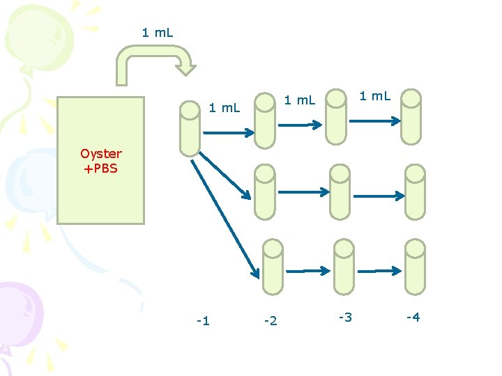 1 m. L Oyster +PBS -1 -2 -3 -4 1 m. L Oyster +PBS -1 -2 -3 -4