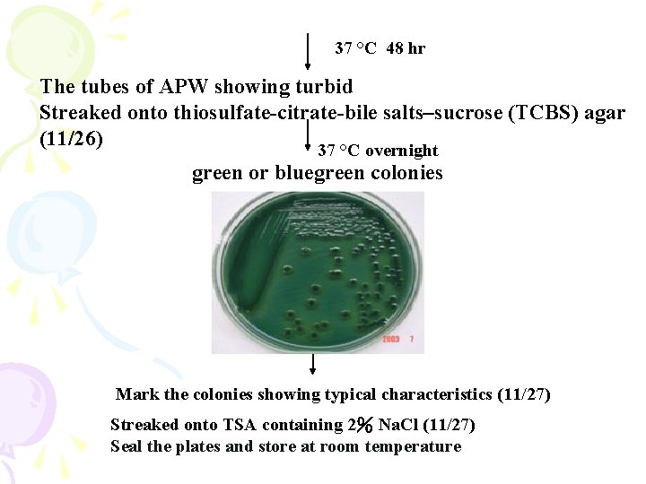 37 °C 48 hr The tubes of APW showing turbid Streaked onto thiosulfate-citrate-bile salts–sucrose 37 °C 48 hr The tubes of APW showing turbid Streaked onto thiosulfate-citrate-bile salts–sucrose