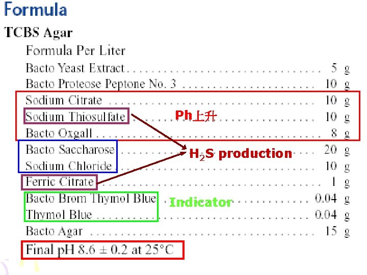 Ph上升 H 2 S production Indicator Ph上升 H 2 S production Indicator