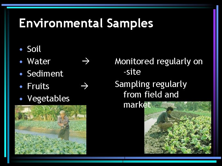 Environmental Samples • • • Soil Water Sediment Fruits Vegetables Monitored regularly on -site