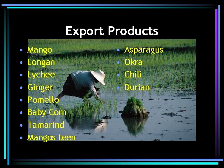 Export Products • • Mango Longan Lychee Ginger Pomello Baby Corn Tamarind Mangos teen