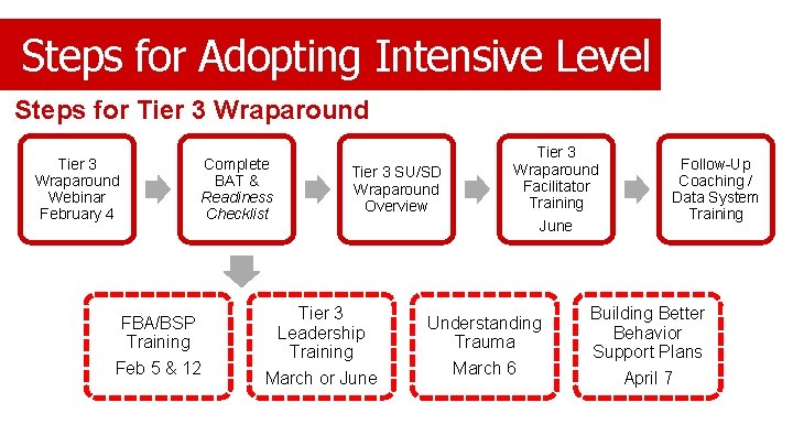 Steps for Adopting Intensive Level Steps for Tier 3 Wraparound Webinar February 4 Complete