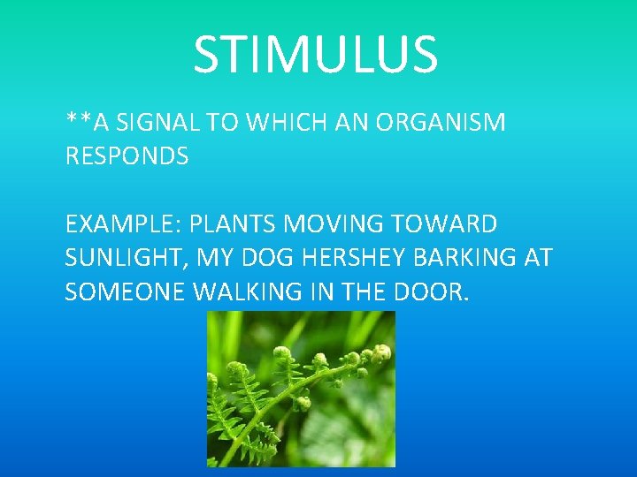 STIMULUS **A SIGNAL TO WHICH AN ORGANISM RESPONDS EXAMPLE: PLANTS MOVING TOWARD SUNLIGHT, MY