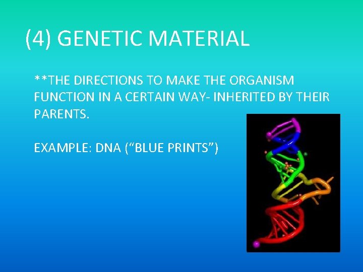 (4) GENETIC MATERIAL **THE DIRECTIONS TO MAKE THE ORGANISM FUNCTION IN A CERTAIN WAY-