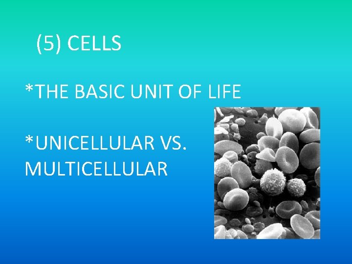 (5) CELLS *THE BASIC UNIT OF LIFE *UNICELLULAR VS. MULTICELLULAR 