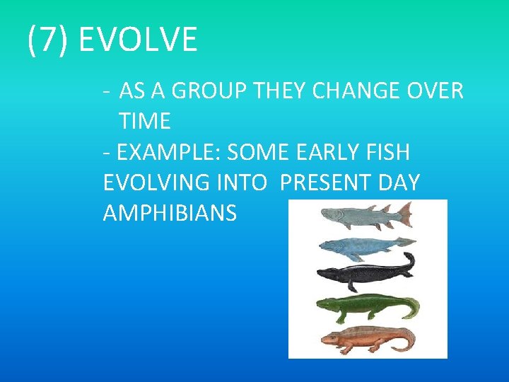 (7) EVOLVE - AS A GROUP THEY CHANGE OVER TIME - EXAMPLE: SOME EARLY
