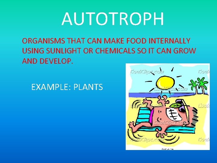 AUTOTROPH ORGANISMS THAT CAN MAKE FOOD INTERNALLY USING SUNLIGHT OR CHEMICALS SO IT CAN