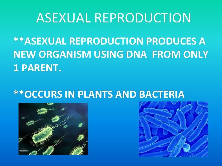 ASEXUAL REPRODUCTION **ASEXUAL REPRODUCTION PRODUCES A NEW ORGANISM USING DNA FROM ONLY 1 PARENT.