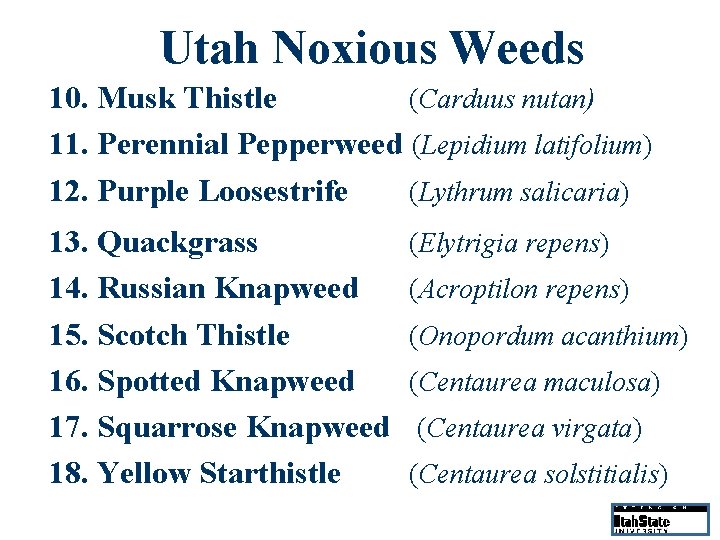Utah Noxious Weeds 10. Musk Thistle (Carduus nutan) 11. Perennial Pepperweed (Lepidium latifolium) 12.