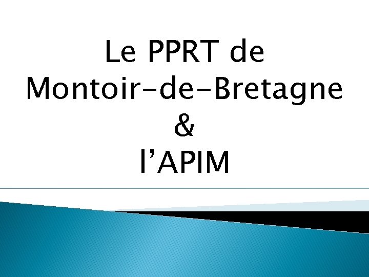 Le PPRT de Montoir-de-Bretagne & l’APIM 
