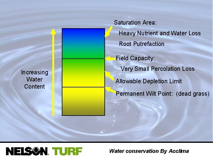 Saturation Area: Heavy Nutrient and Water Loss Root Putrefaction Field Capacity: Increasing Water Content