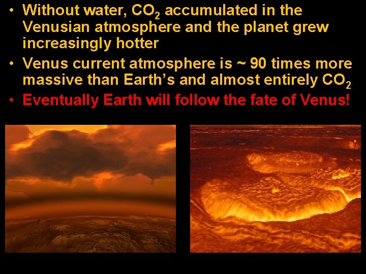  • Without water, CO 2 accumulated in the Venusian atmosphere and the planet