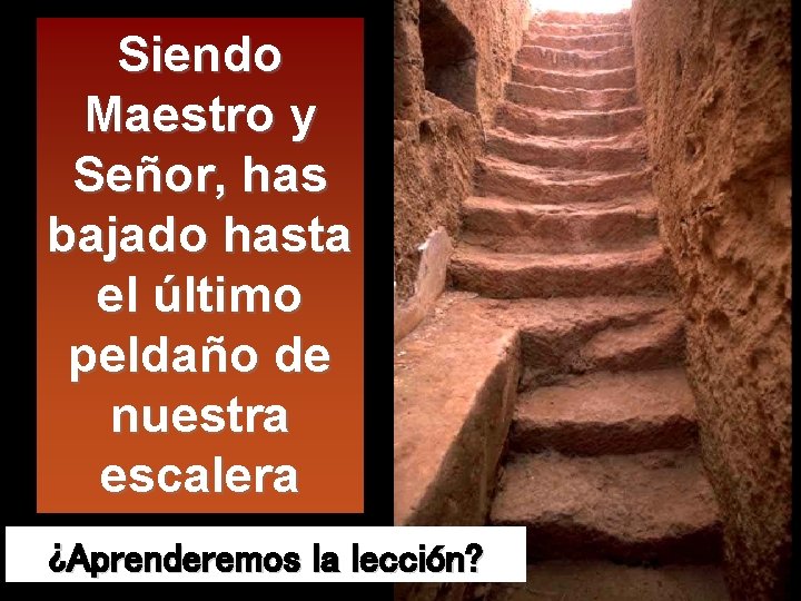 Siendo Maestro y Señor, has bajado hasta el último peldaño de nuestra escalera ¿Aprenderemos