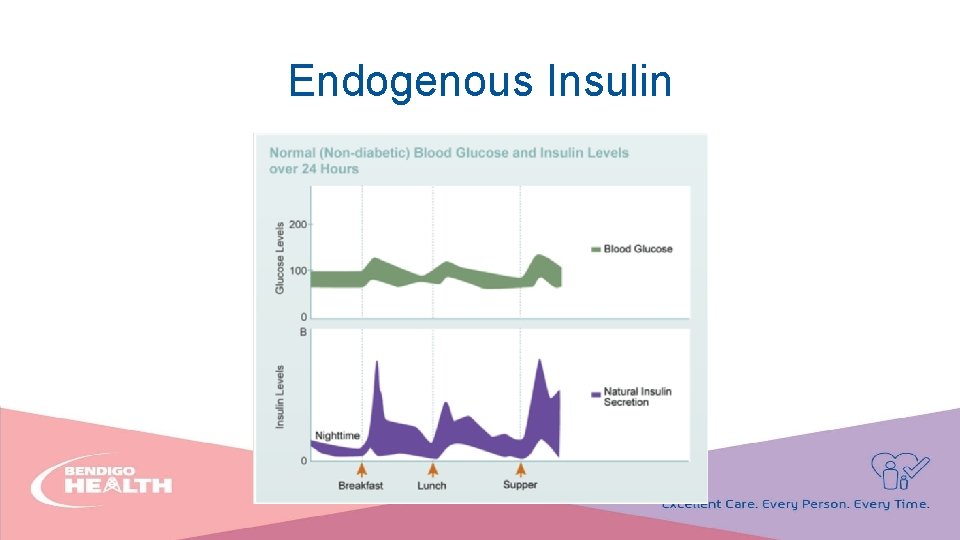 Endogenous Insulin 