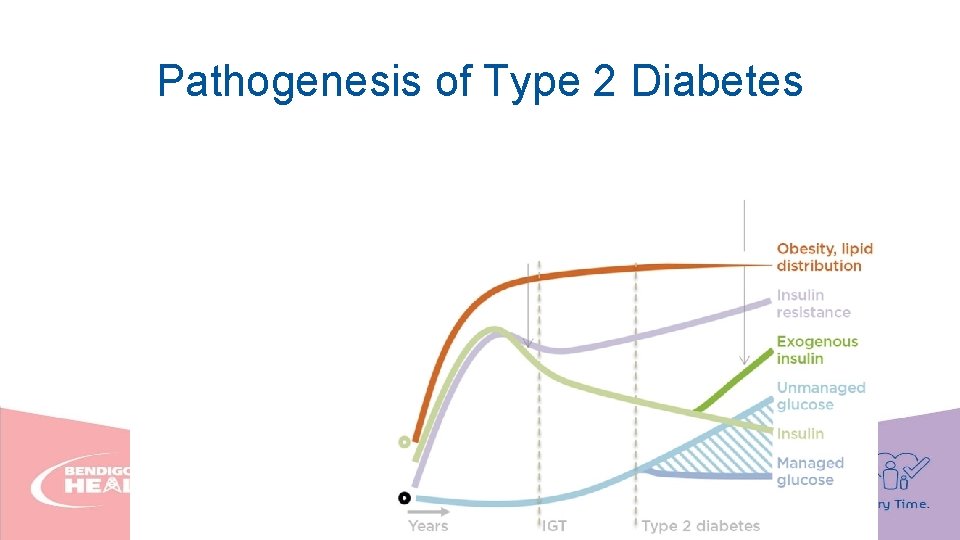 Pathogenesis of Type 2 Diabetes 