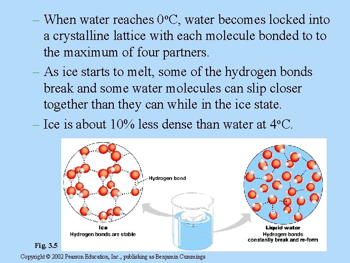 – When water reaches 0 o. C, water becomes locked into a crystalline lattice – When water reaches 0 o. C, water becomes locked into a crystalline lattice