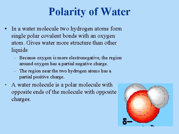 Polarity of Water • In a water molecule two hydrogen atoms form single polar Polarity of Water • In a water molecule two hydrogen atoms form single polar