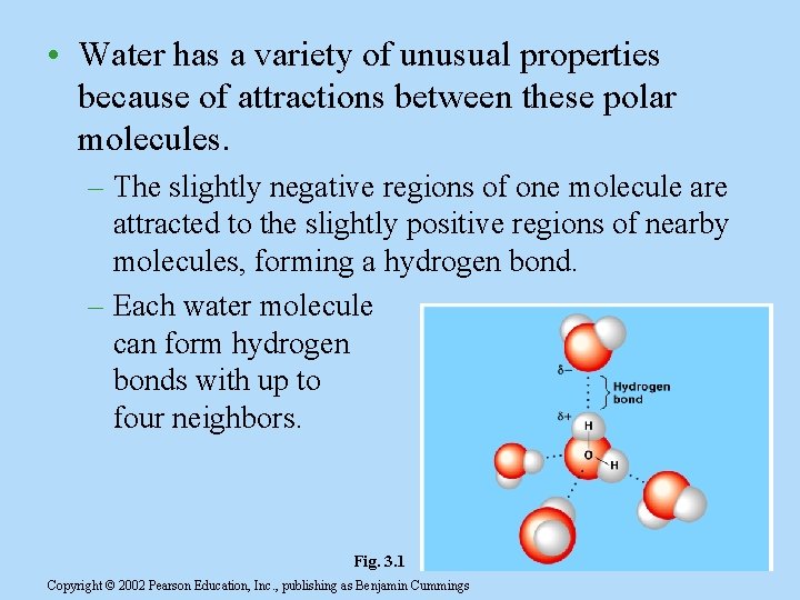 • Water has a variety of unusual properties because of attractions between these • Water has a variety of unusual properties because of attractions between these