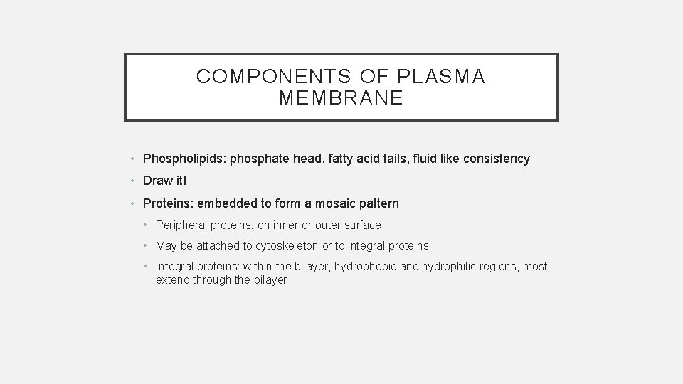 COMPONENTS OF PLASMA MEMBRANE • Phospholipids: phosphate head, fatty acid tails, fluid like consistency